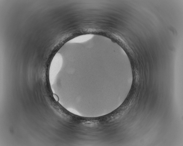 X0000110990447200907311013