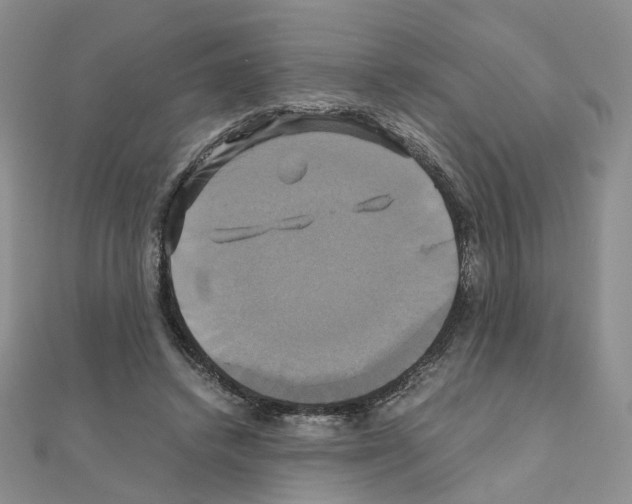 X0000110990448200907311013