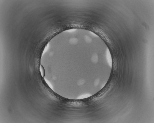 X0000110990449200907311013