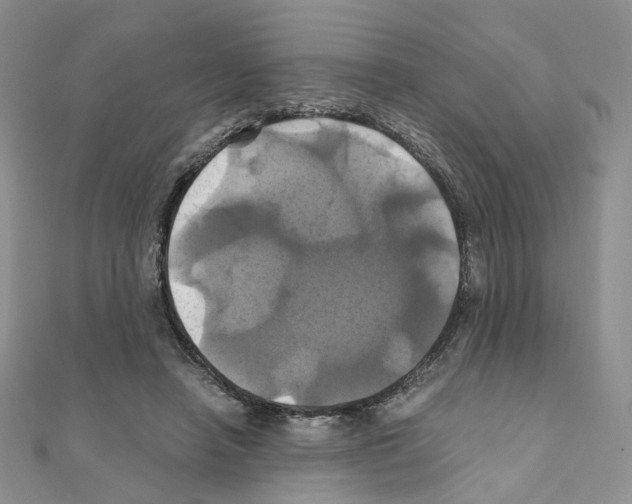 X0000110990450200907311013