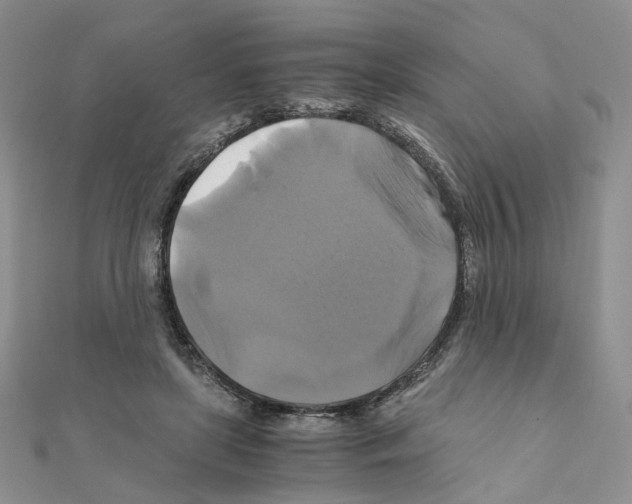 X0000110990451200907311013