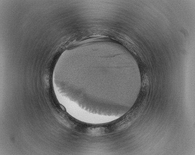 X0000110990452200907311013