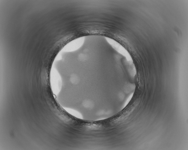 X0000110990453200907311013