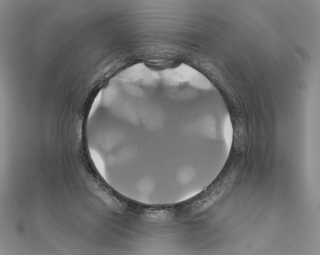 X0000110990454200907311013