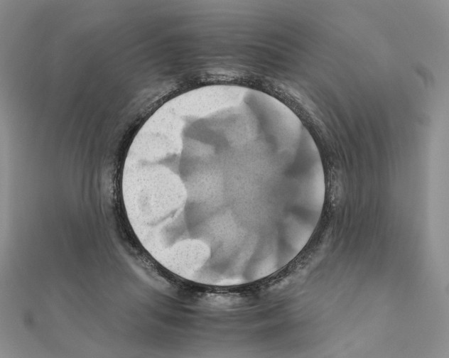 X0000110990455200907311013