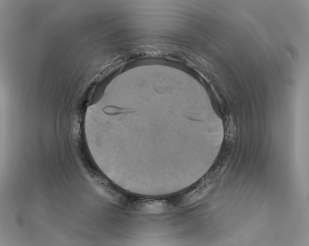 X0000110990456200907311013
