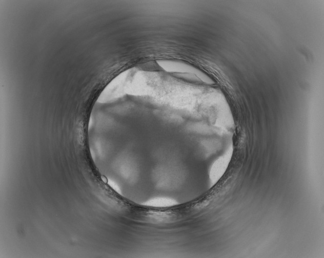 X0000110990457200907311013