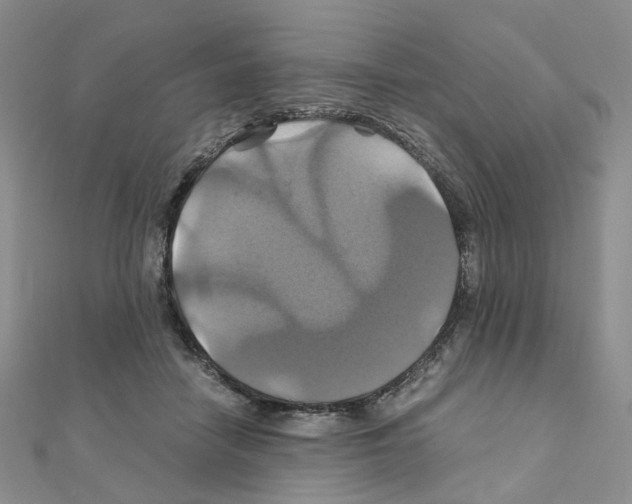 X0000110990458200907311013