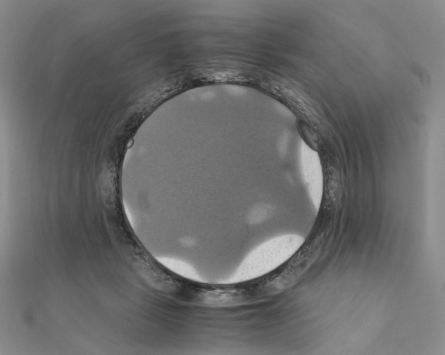 X0000110990461200907311013