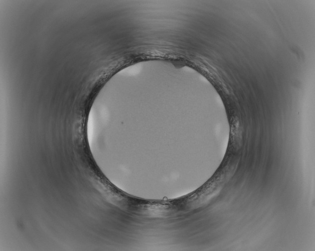X0000110990462200907311013