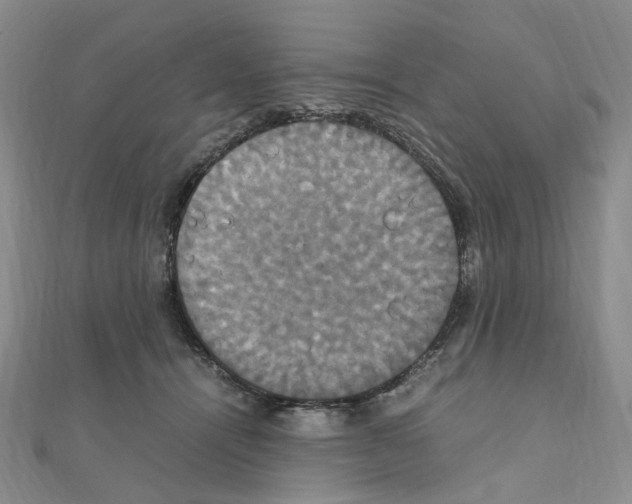 X0000110990464200907311013