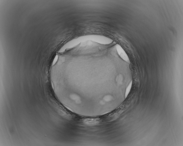 X0000110990465200907311013