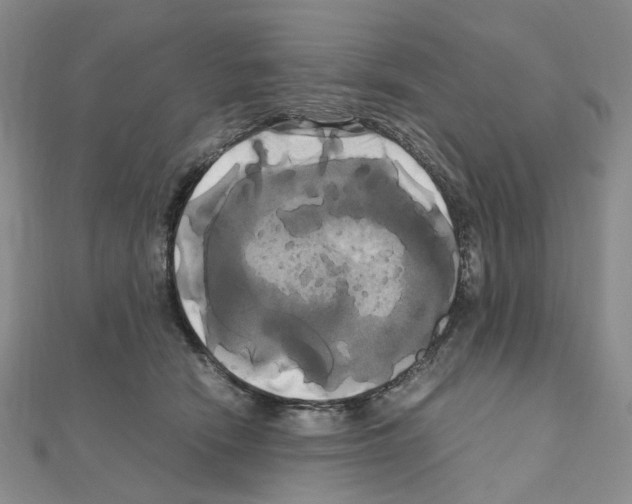 X0000110990466200907311014