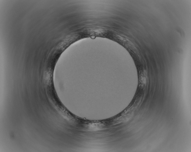 X0000110990468200907311014