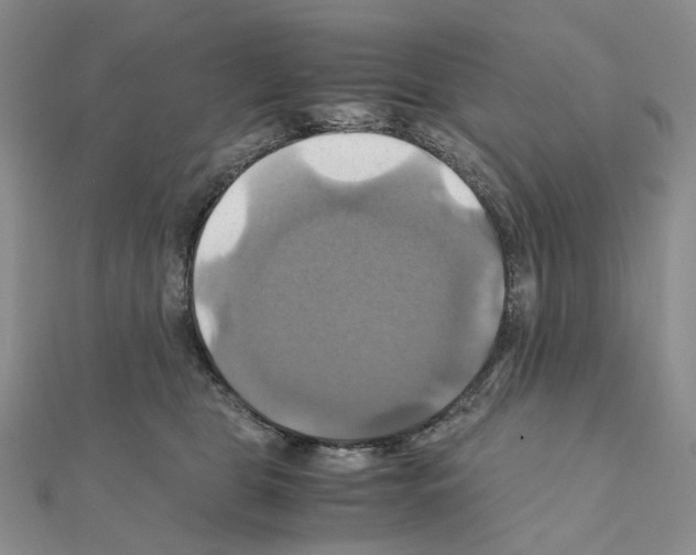 X0000110990469200907311014