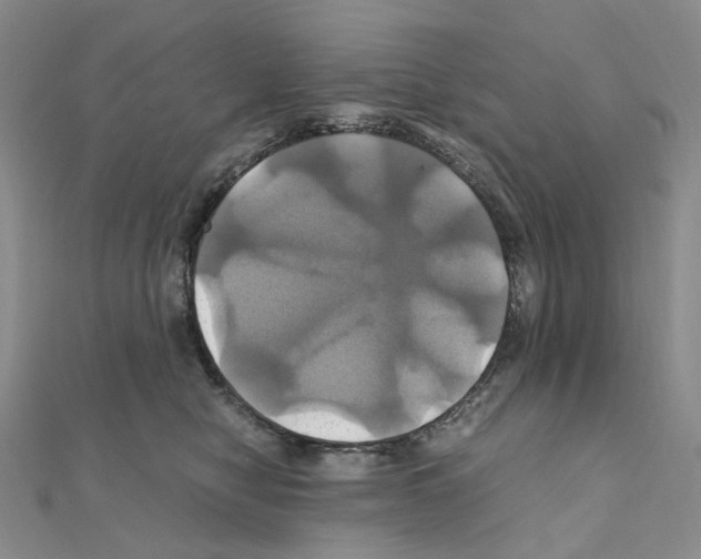 X0000110990470200907311014