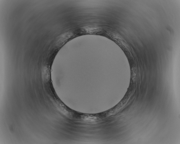 X0000110990471200907311014