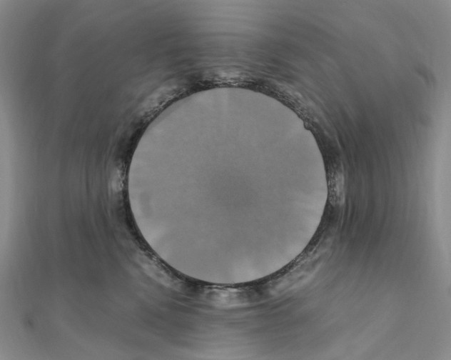 X0000110990472200907311014