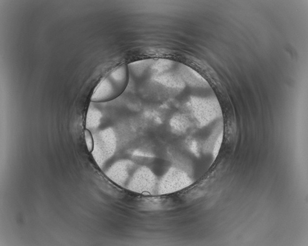 X0000110990473200907311014