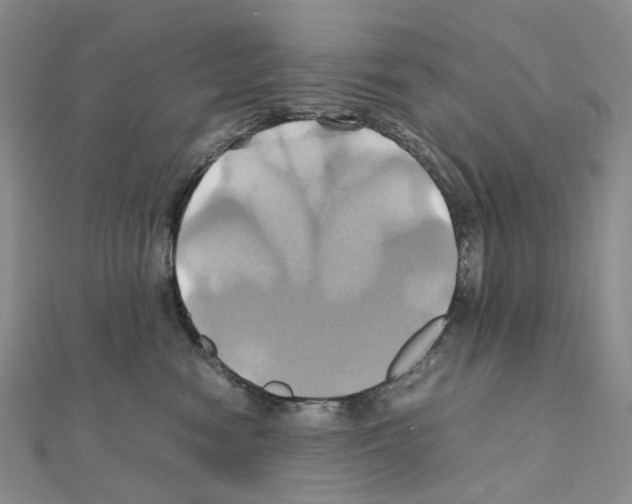 X0000110990474200907311014