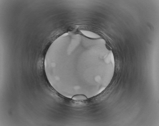 X0000110990475200907311014