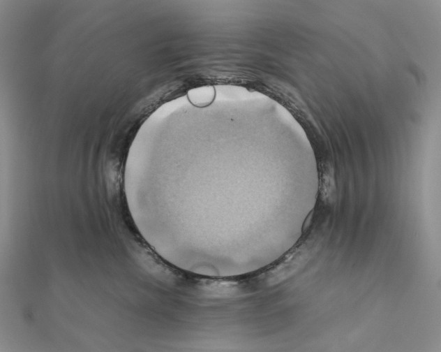 X0000110990476200907311014