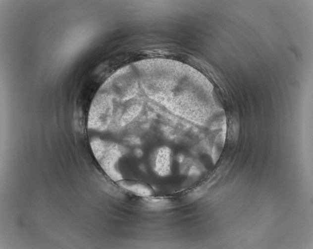 X0000110990477200907311014
