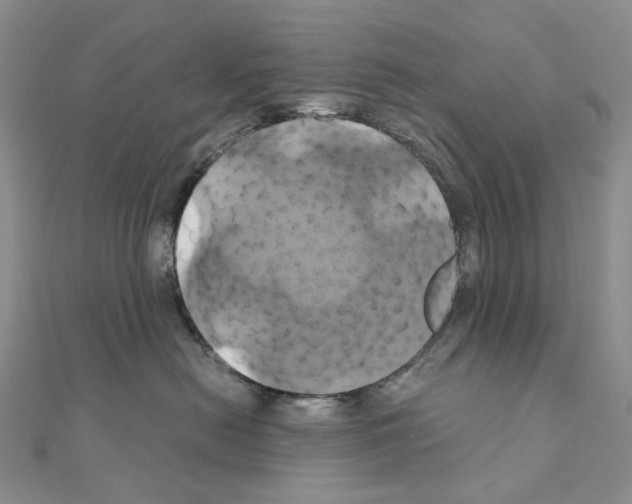 X0000110990478200907311014
