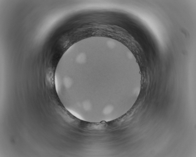 X0000110990479200907311014