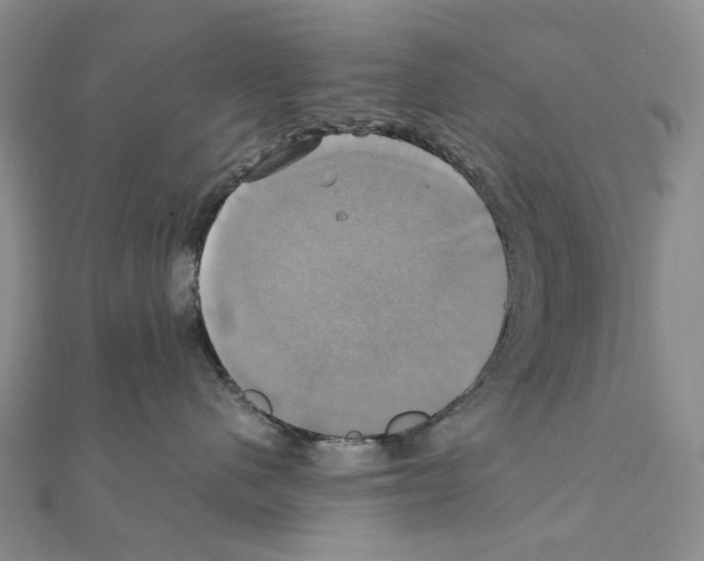 X0000110990480200907311014