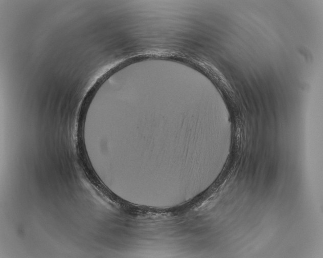 X0000110990484200907311013