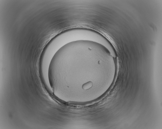 X0000110990485200907311013