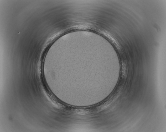X0000110990486200907311013