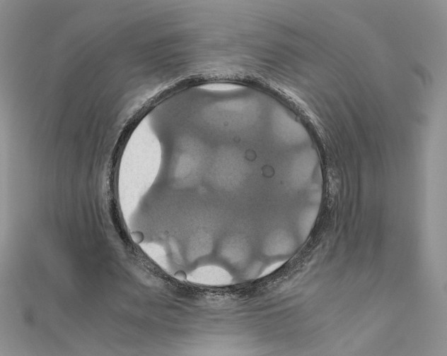 X0000110990487200907311013