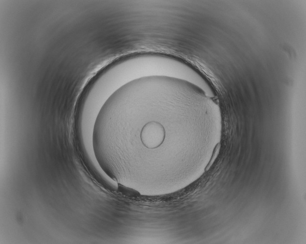 X0000110990488200907311013