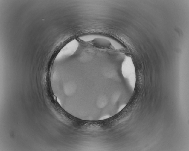 X0000110990491200907311013