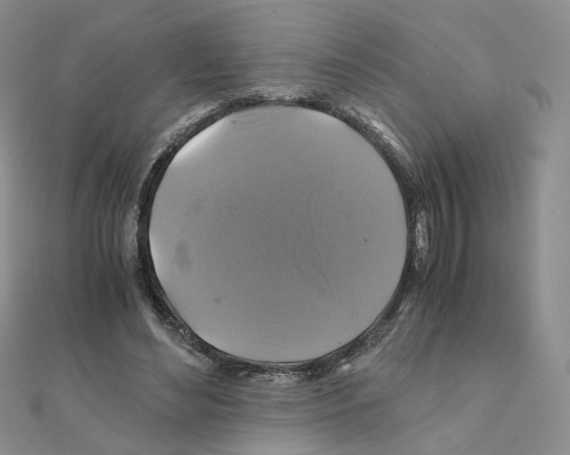 X0000110990492200907311013