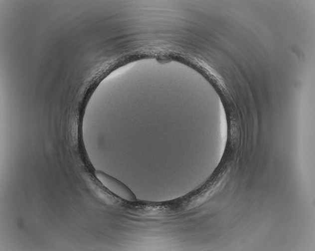 X0000110990493200907311013