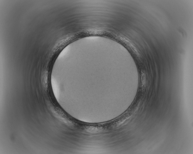 X0000110990494200907311013