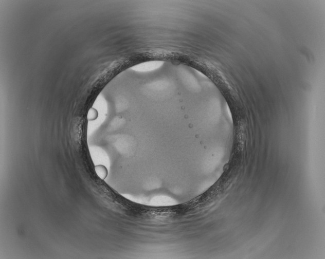 X0000110990495200907311013