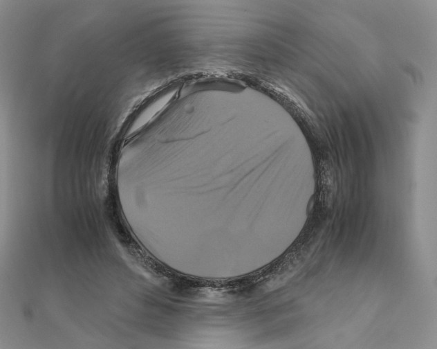 X0000110990496200907311013