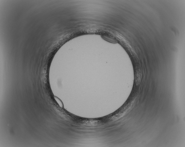 X0000110990497200907311013