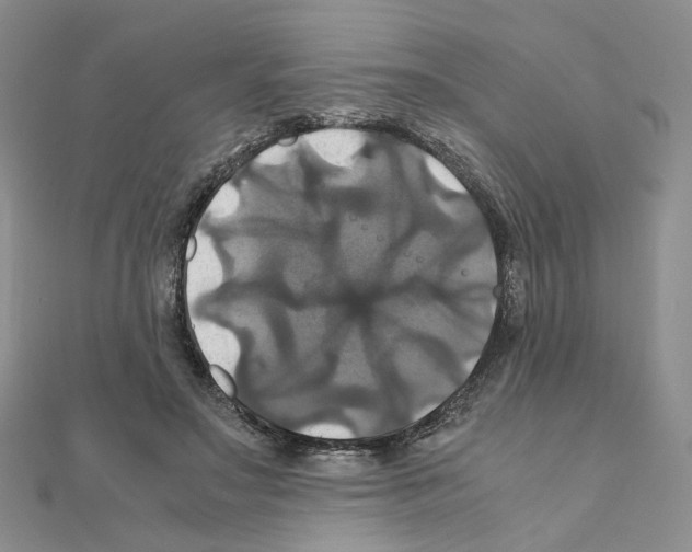 X0000110990499200907311013