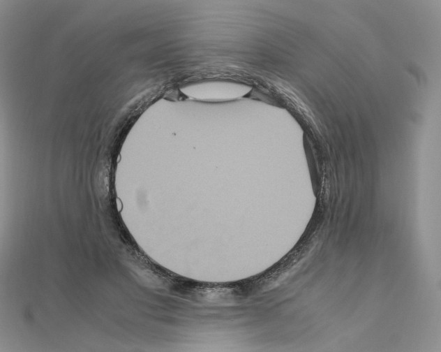 X0000110990501200907311013