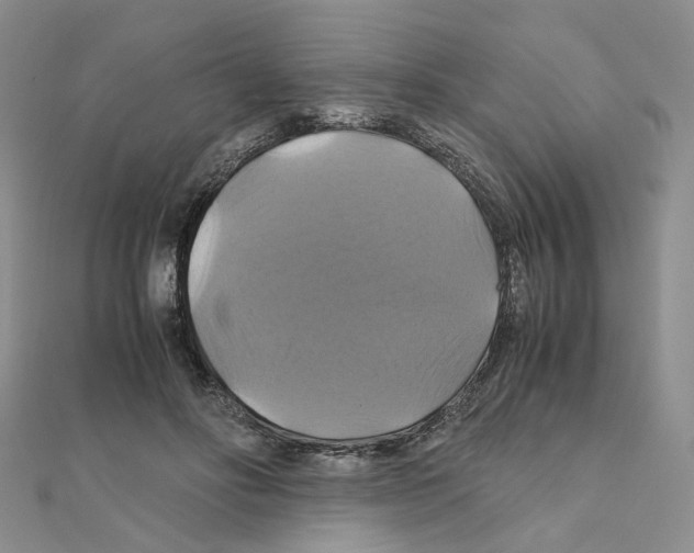 X0000110990502200907311013