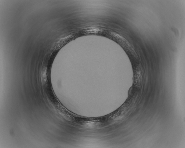 X0000110990504200907311013