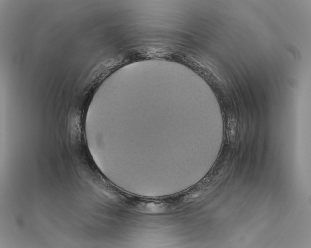 X0000110990506200907311013