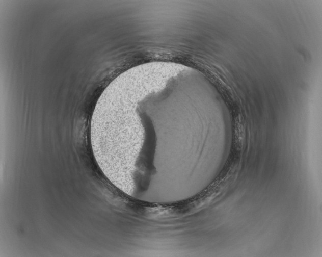 X0000110990511200907311013