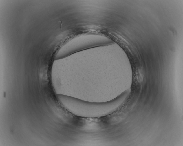 X0000110990512200907311013
