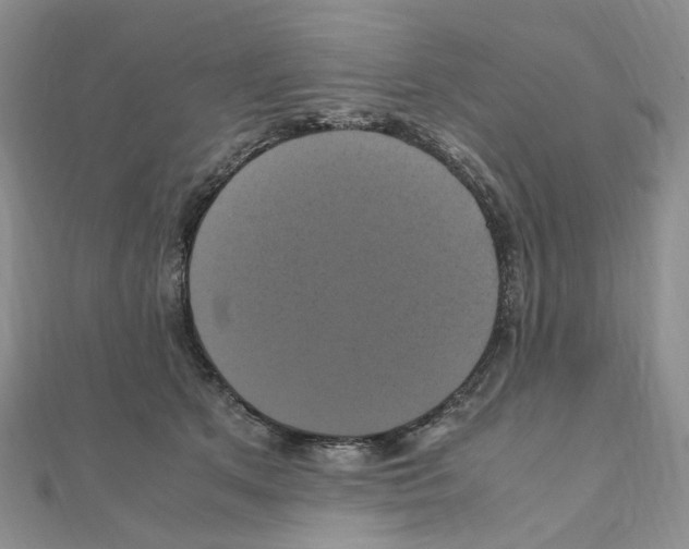 X0000110990513200907311013